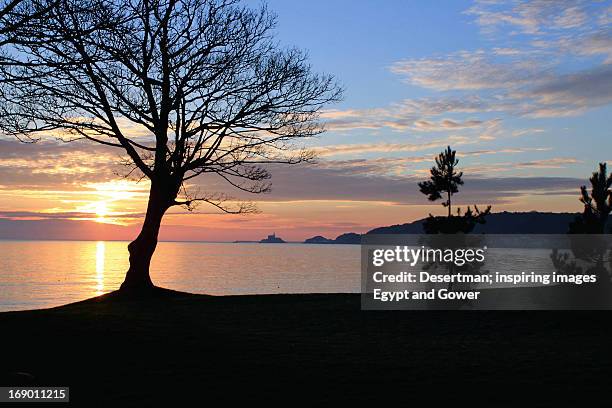 mumbles in sunrise - desertman foto e immagini stock