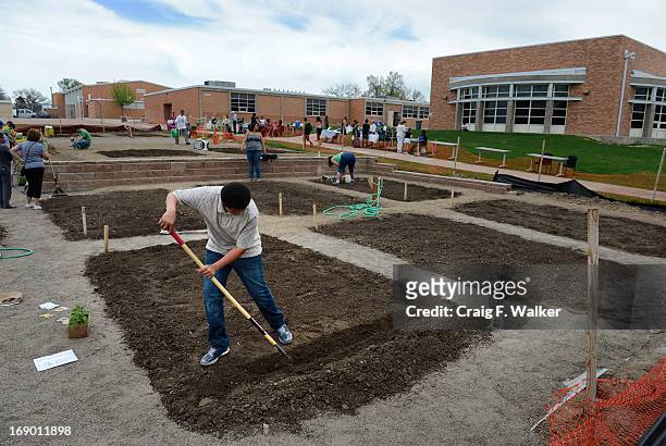 Eighth grader Shacobie Garcia works in his plot during the North Middle School Garden Festival in Aurora, CO May 18, 2013. Garcia was on the garden's...