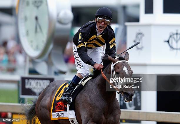 Gary Stevens celebrates atop of Oxbow as he crosses the finish line to win the 138th running of the Preakness Stakes at Pimlico Race Course on May...