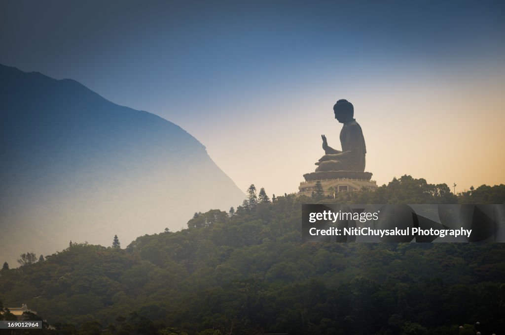 Bid Buddha, Hong Kong