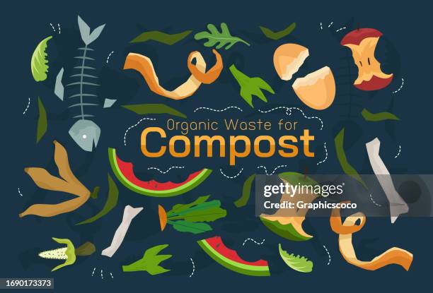 ilustrações de stock, clip art, desenhos animados e ícones de making compost with natural materials leftovers from the household - manure pile