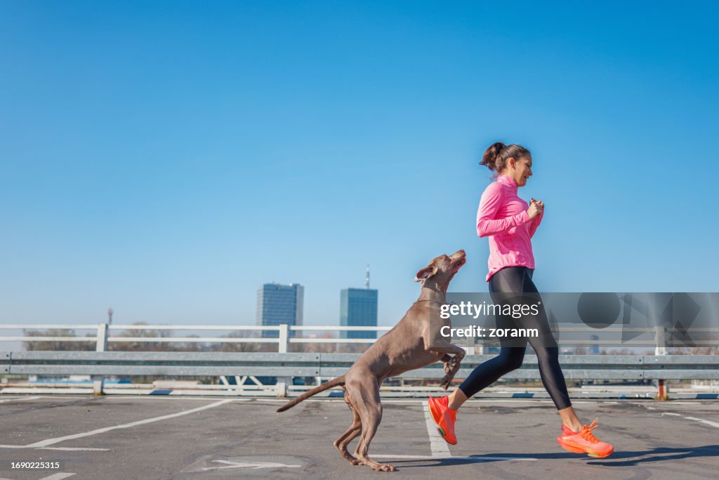 Active dog jumping on its owner, morning run together in the city on a clear day