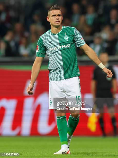 Rafael Borre of SV Werder Bremen looks on during the Bundesliga match between SV Werder Bremen and 1. FC Köln at Wohninvest Weserstadion on September...