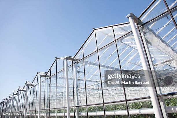 greenhouses - conservatory stockfoto's en -beelden