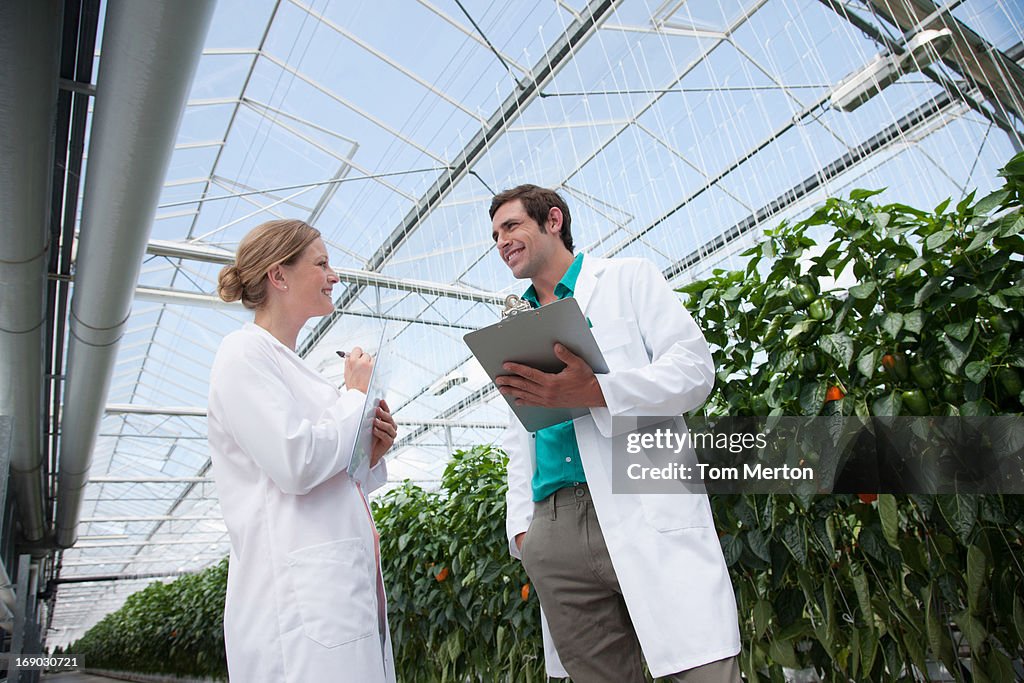 Cientistas a falar em estufa