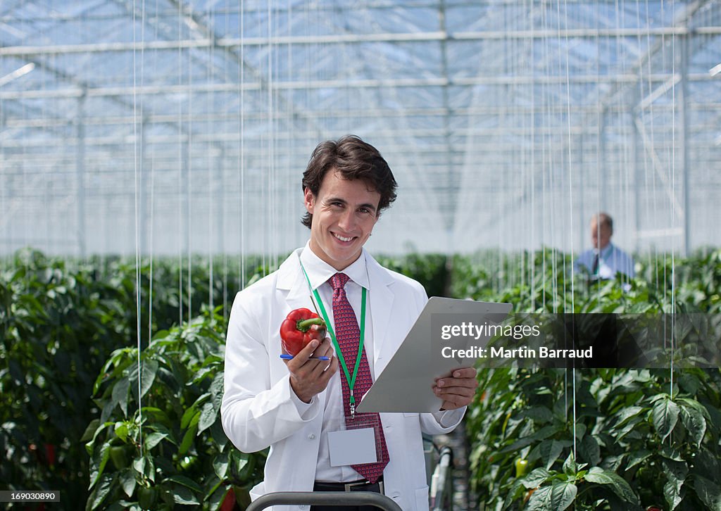 Scientist examining produce in greenhouse