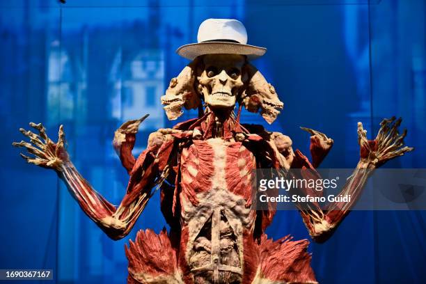 The Winged Man in this plastinate displays the facial tissue layer with muscles separated on both sides as seen on September 15, 2023 in Turin,...