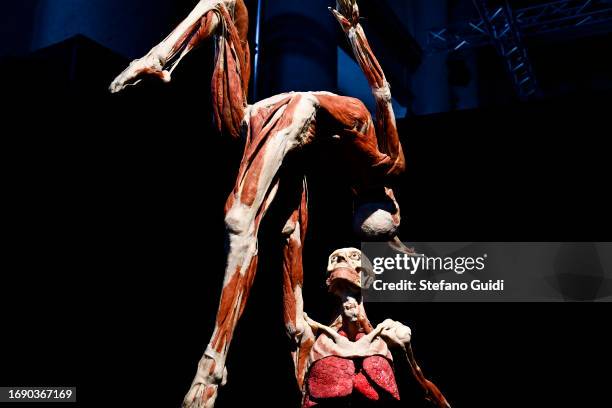 The Dancers shows how nerve fibers run throughout the entire body on September 15, 2023 in Turin, Italy. The exhibition of human anatomy created by...