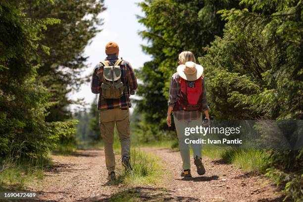 back view of couple of backpackers walking through nature. - wilderness camping stock pictures, royalty-free photos & images