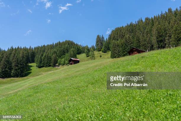 typical alpine wooden barn on green pasture with high cliffs in background, lauterbrunnen valley, bernese oberland, switzerland, europe - staubbach falls stock pictures, royalty-free photos & images
