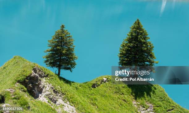 oeschinensee lake with snow bluemlisalp mountain on sunny summer day. panorama of the azure lake oeschinensee, pine trees in swiss alps, kandersteg. switzerland - lac-oeschinensee photos et images de collection