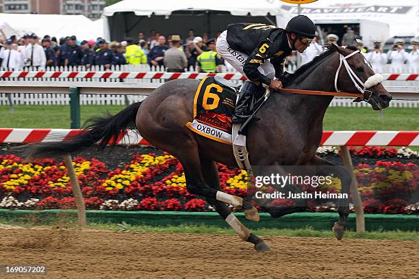 Oxbow, ridden by Gary Stevens, leads the field at the start of the race to win the 138th running of the Preakness Stakes at Pimlico Race Course on...