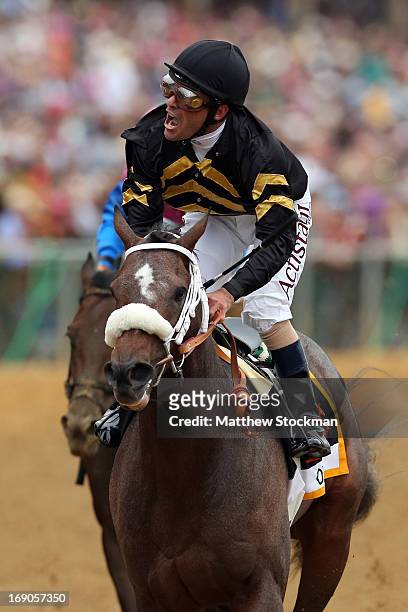 Gary Stevens celebrates atop of Oxbow after crossing the finish line to win the 138th running of the Preakness Stakes at Pimlico Race Course on May...