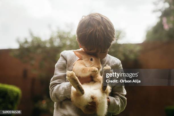 2,691 Rabbit Boy Stock Photos, High-Res Pictures, and Images - Getty Images