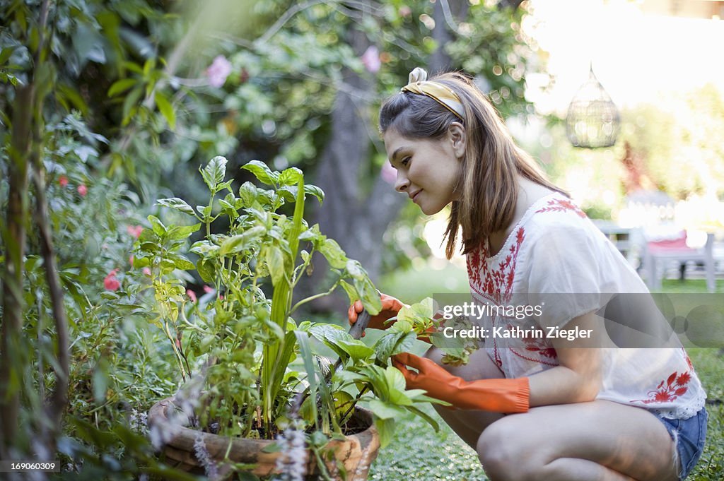 Young woman gardening