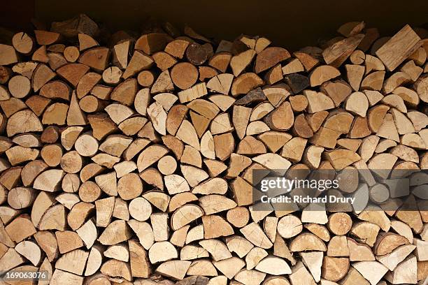 logs in woodstore - legna da ardere foto e immagini stock