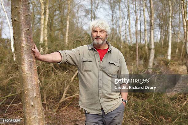 woodsman in forest - thetford stock pictures, royalty-free photos & images