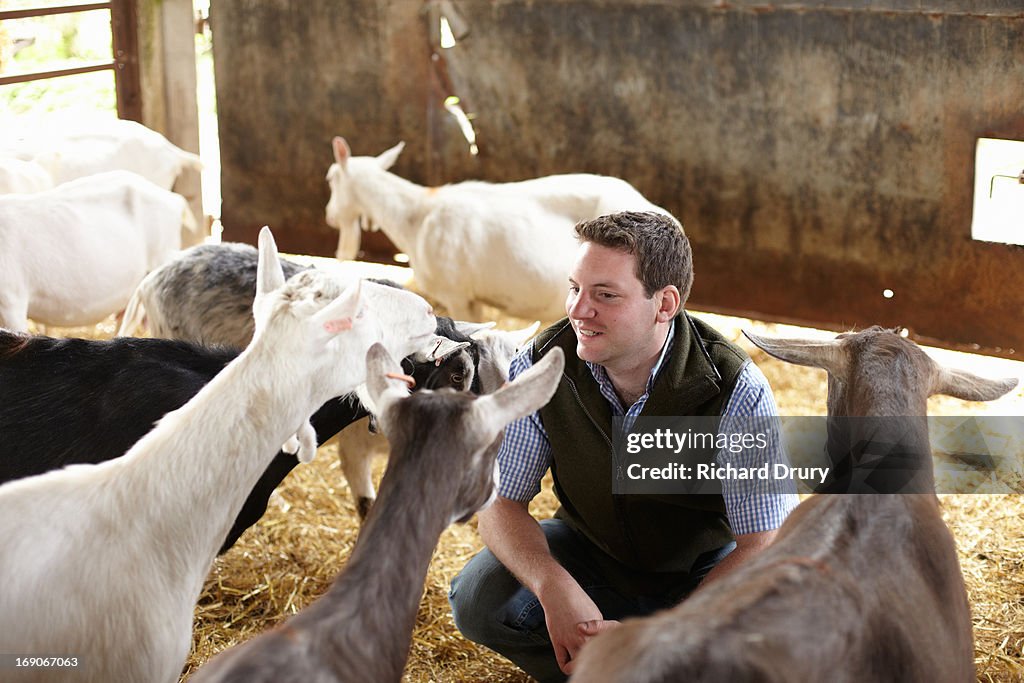 Goat farmer with his goats