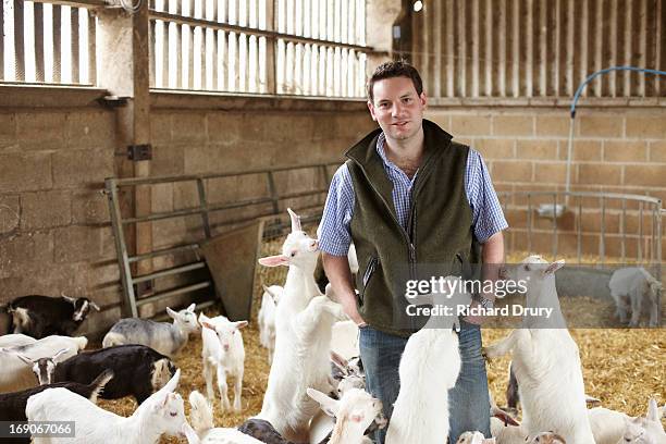 goat farmer with kids - cabrito - fotografias e filmes do acervo