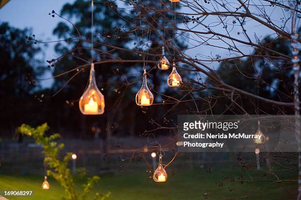 lights in trees at twilight - hunter valley stock-fotos und bilder