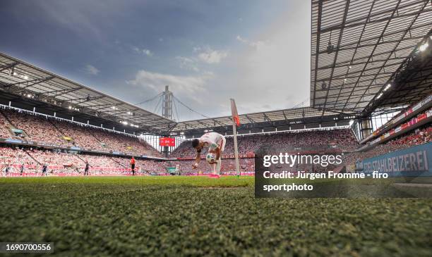 Corner corner ball lawn backer background in Rheinenergie Rhein Energie Stadion general feature during the Bundesliga match between 1. FC Köln and...