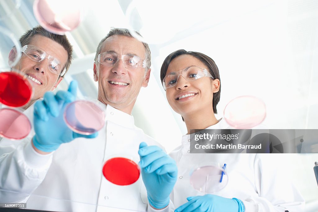 Scientists examining petri dishes in lab