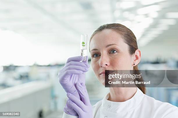 cientista examinando plantas em tubos de ensaio em laboratório - botânica cientista imagens e fotografias de stock