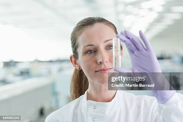 científico de examinar planta en tubo de ensayo en laboratorio - tubos de ensayo fotografías e imágenes de stock