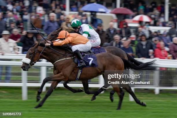 John Egan riding Alfred win The AKS Skip Hire Services Nursery at Yarmouth Racecourse on September 19, 2023 in Yarmouth, England.