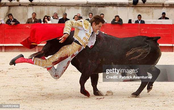 Bullfighter Injuries 308 Bull Fighting Injury Stock Photos, High-Res Pictures, and Images ...