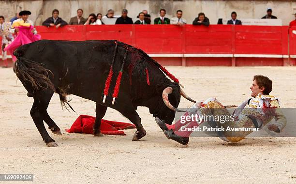 French bullfighter Juan Leal is gored by a bull during the 61st annual Pentecost Feria de Nimes at Nimes Arena on May 19, 2013 in Nimes, France. The...