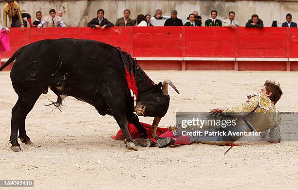 Bullfighter Injuries Bull Fighting Injury Photos and Premium High Res Pictures - Getty Images