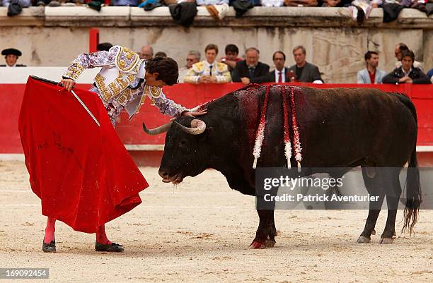 French bullfighter Sebastien Castella in action during the 61st annual Pentecost Feria de Nimes at Nimes Arena on May 19, 2013 in Nimes, France. The...