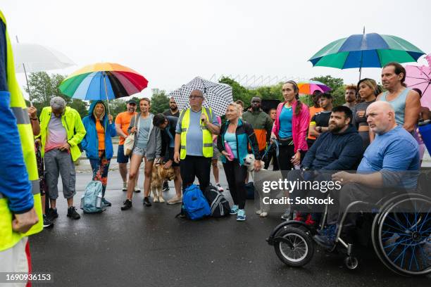 ready for the race - compere stock pictures, royalty-free photos & images