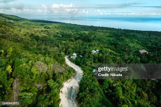 top aerial view over green jungle landscape - siquijor islands stock pictures, royalty-free photos & images