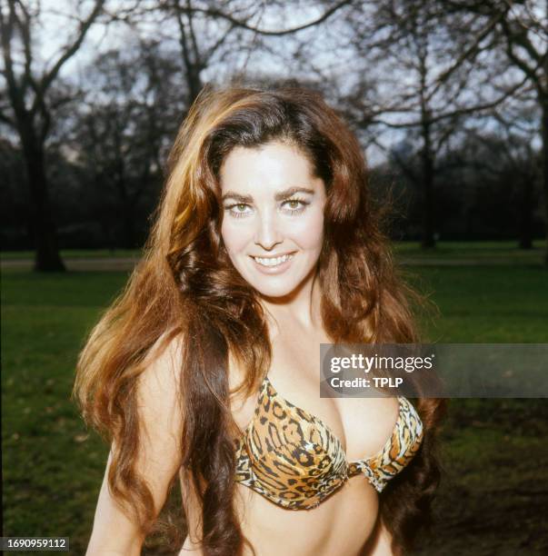 Portrait of American actress and model Edy Williams, in an animal-print bikini, as she poses in an unspecified park, London, England, February 10,...