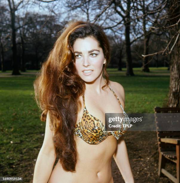 Portrait of American actress and model Edy Williams, in an animal-print bikini, as she poses in an unspecified park, London, England, February 10,...