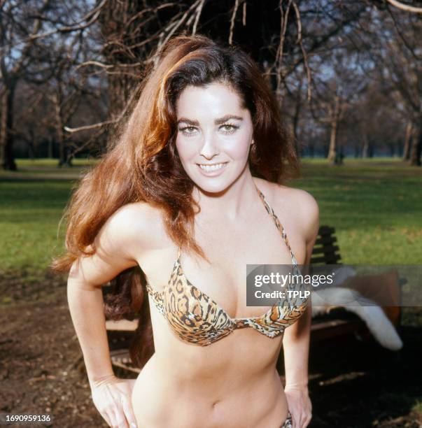 Portrait of American actress and model Edy Williams, in an animal-print bikini, as she poses in an unspecified park, London, England, February 10,...