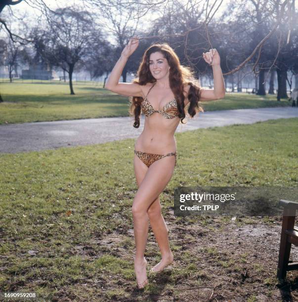 Portrait of American actress and model Edy Williams, in an animal-print bikini, as she poses in an unspecified park, London, England, February 10,...