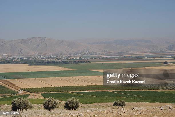 The vineyards seen in the valley on August 4, 2012 in Bekaa, Lebanon.