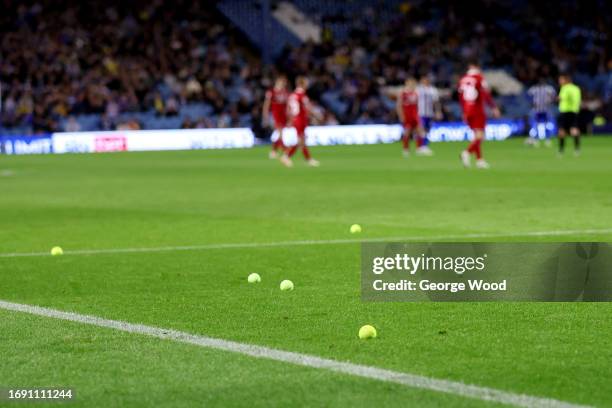 Tennis balls are seen thrown onto the pitch in a protest against the Sheffield Wednesday ownership during the Sky Bet Championship match between...