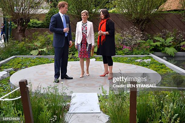 Sophie, Countess of Wessex , speak with Britain's Prince Harry and garden designer Jinny Blum in the B&Q Sentebale Forget-Me-Not garden during a...