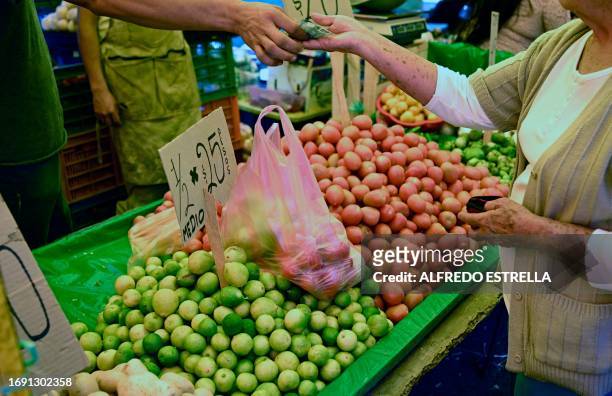 Woman buys lemons at a market in Morelia, Michoacan State, Mexico, on September 21, 2023. In this agricultural municipality in the state of...