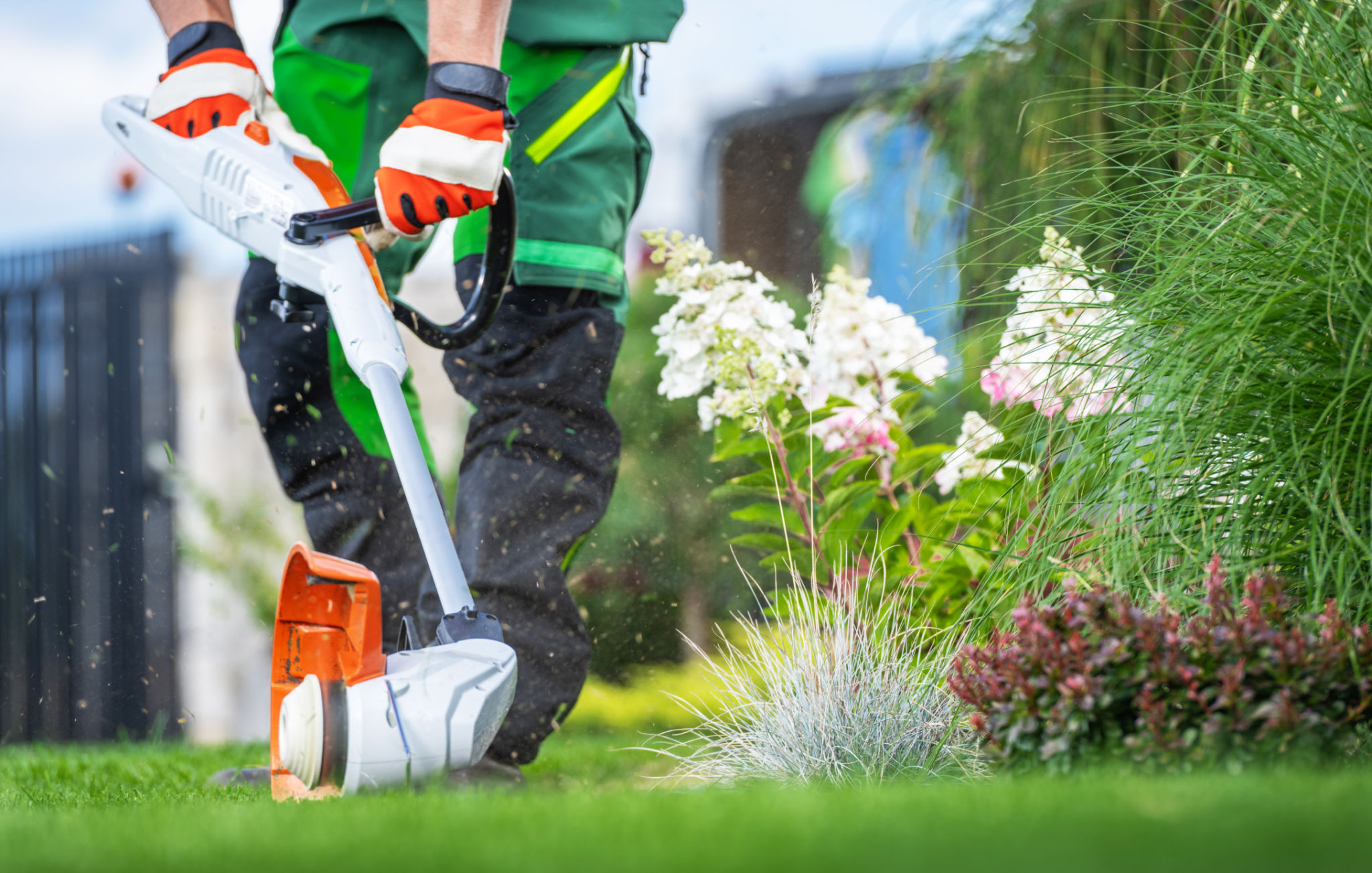 garden maintenance tools