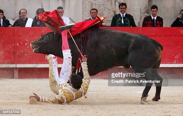Mexican bullfighter Diego Silveti is gored by a bull during the 61st annual Pentecost Feria de Nimes at Nimes Arena on May 20, 2013 in Nimes, France....