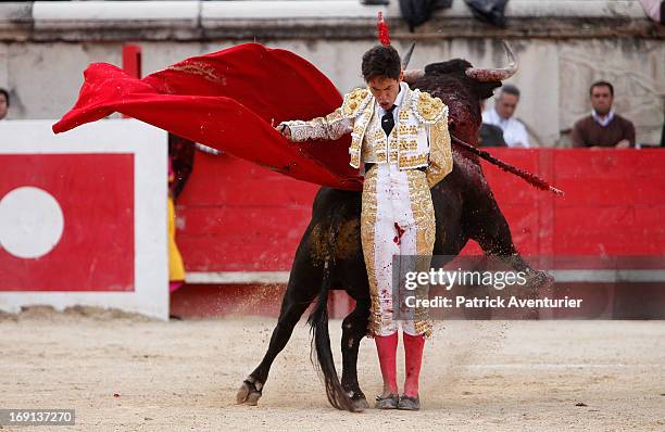 Mexican bullfighter Diego Selveti in action during the 61st annual Pentecost Feria de Nimes at Nimes Arena on May 20, 2013 in Nimes, France. The...