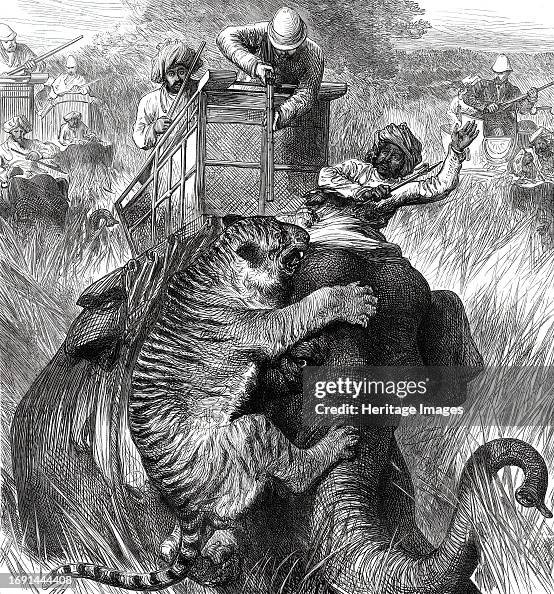 The Prince of Wales in the Nepaul Terai: Colonel Sir Arthur Ellis...with a Tiger...1876. Creator: Unknown