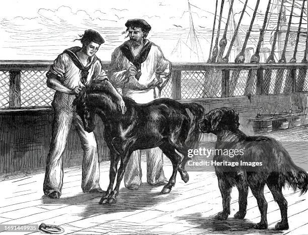 Return of the Prince of Wales from India: life on board the Serapis: Pony and Thibet Dog, from a sketch by an officer of the Serapis, 1876....