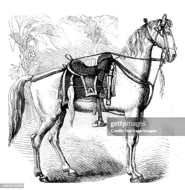 Sketches of Native Life in India - Sikh Horse, 1858. 'We are indebted to the sketch-book of Mr. Marshall Claxton for the...series of characteristic...