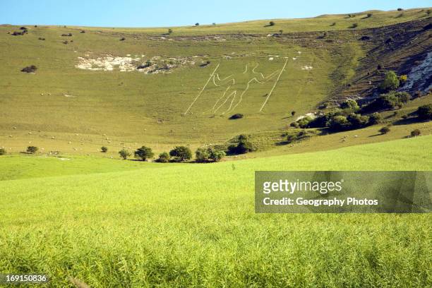 Prehistoric image in chalk hillside, The Long Man of Wilmington, East Sussex, England.